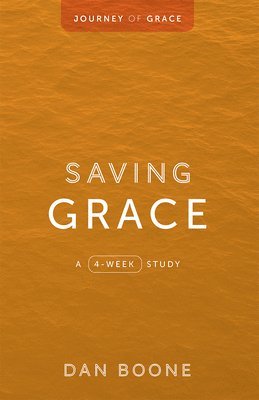 bokomslag Journey of Grace