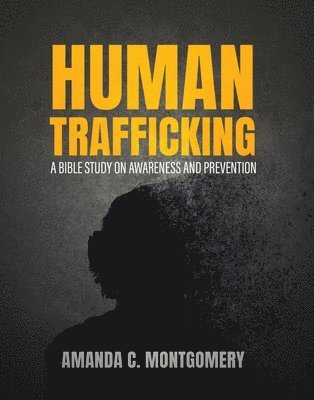 bokomslag Human Trafficking: A Bible Study on Awareness and Prevention