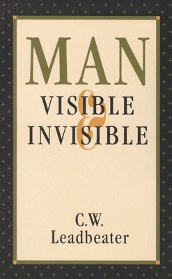 bokomslag Man, Visible and Invisible