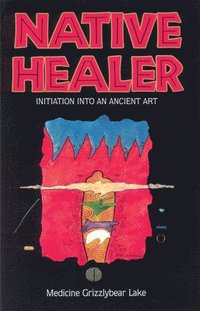 bokomslag Native Healer