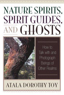 Atala Dorothy Toy - Nature Spirits, Spirit Guides, and Ghosts: How to Talk with and Photograph Beings of Other Realms, Häftad