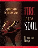 bokomslag Fire in the Soul