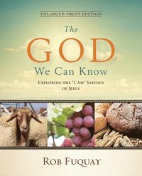 bokomslag The God We Can Know Enlarged-Print Edition