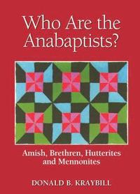 bokomslag Anabaptist Communities