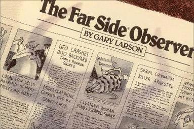 bokomslag Far Side¿ Observer