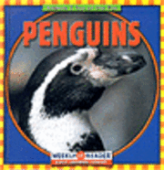 bokomslag Penguins