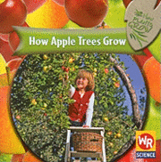 bokomslag How Apple Trees Grow