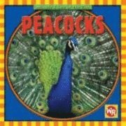 bokomslag Peacocks
