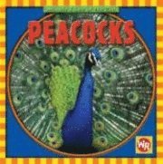 Peacocks 1