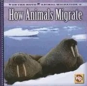 Susan Labella - How Animals Migrate, Häftad. Tillgänglighet: Tillfälligt slut