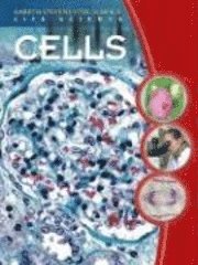 Darlene R. Stille - Cells, Inbunden