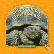 Valerie J. Weber - Why Animals Live in Shells, Inbunden