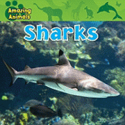Christina Wilsdon - Sharks, Inbunden