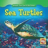 Sea Turtles 1