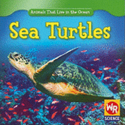 bokomslag Sea Turtles