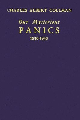bokomslag Our Mysterious Panics