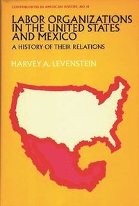 bokomslag Labor Organization in the United States and Mexico