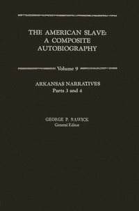 bokomslag American Slave