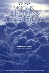 bokomslag Visions of Holiness in the Everyday