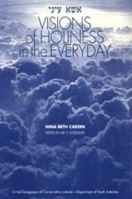 bokomslag Visions of Holiness in the Everyday