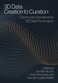 bokomslag 3D Data Creation to Curation