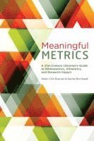 bokomslag Meaningful Metrics