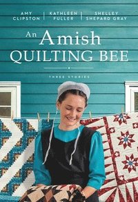 bokomslag An Amish Quilting Bee