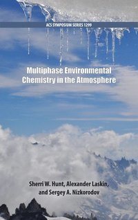 bokomslag Multiphase Environmental Chemistry in the Atmosphere