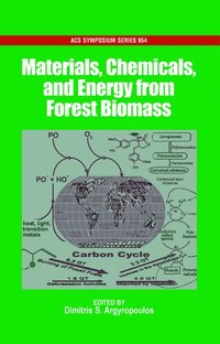 bokomslag Materials, Chemicals and Energy from Forest Biomass