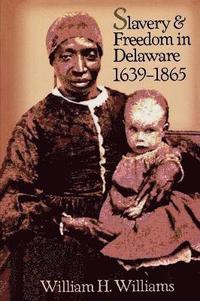 bokomslag Slavery and Freedom in Delaware, 1639-1865