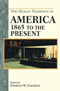 bokomslag The Human Tradition in America from 1865 to the Present
