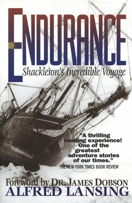 bokomslag Endurance: Shackleton's Incredible Voyage
