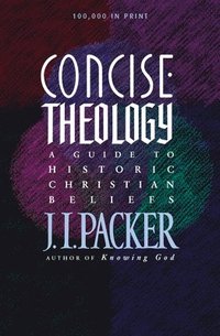 bokomslag Concise Theology