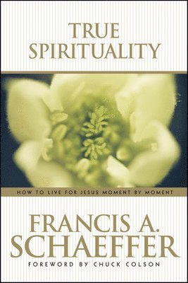 bokomslag True Spirituality