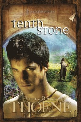 bokomslag Tenth Stone