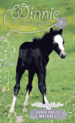 Friendly Foal 1
