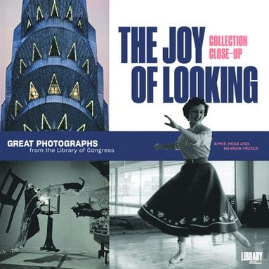 bokomslag Joy of Looking