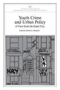 bokomslag Youth Crime and Urban Policy