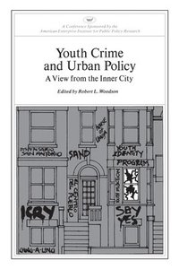 bokomslag Youth Crime and Urban Policy