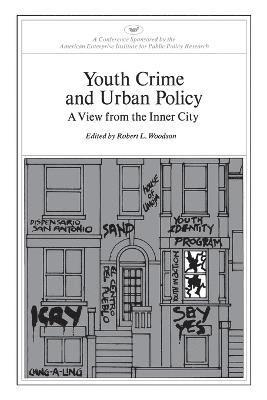 bokomslag Youth Crime and Urban Policy