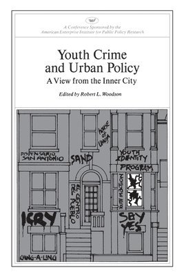 Youth Crime and Urban Policy 1