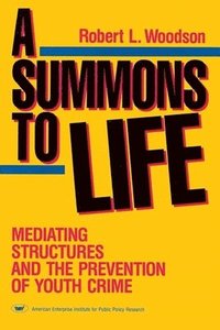 bokomslag A Summons to Life:: Mediating Structures and the Prevention of Youth Crime