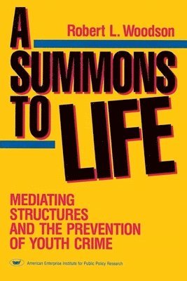 bokomslag A Summons to Life:: Mediating Structures and the Prevention of Youth Crime