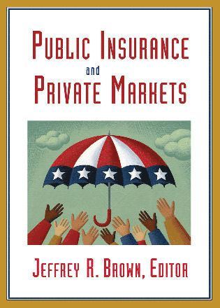 bokomslag Public Insurance and Private Markets