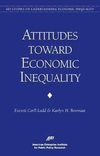bokomslag Public Attitudes on Economic Inequality