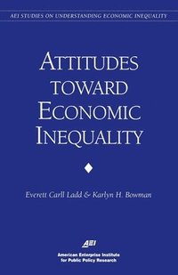 bokomslag Public Attitudes on Economic Inequality