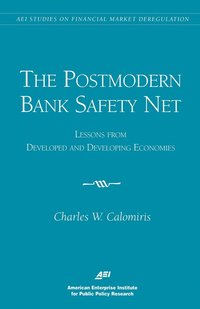 bokomslag Postmodern Bank Safety Net