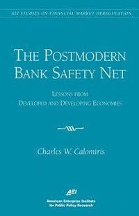 bokomslag The Postmodern Bank Safety Net:: Lessons from Developed and Developing Economies