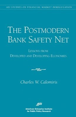 Postmodern Bank Safety Net 1