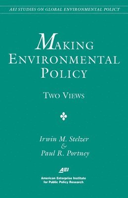 bokomslag Making Environmental Policy